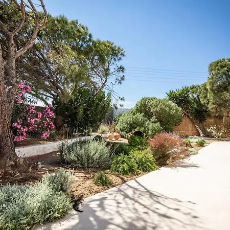 Paraga Платис Ялос